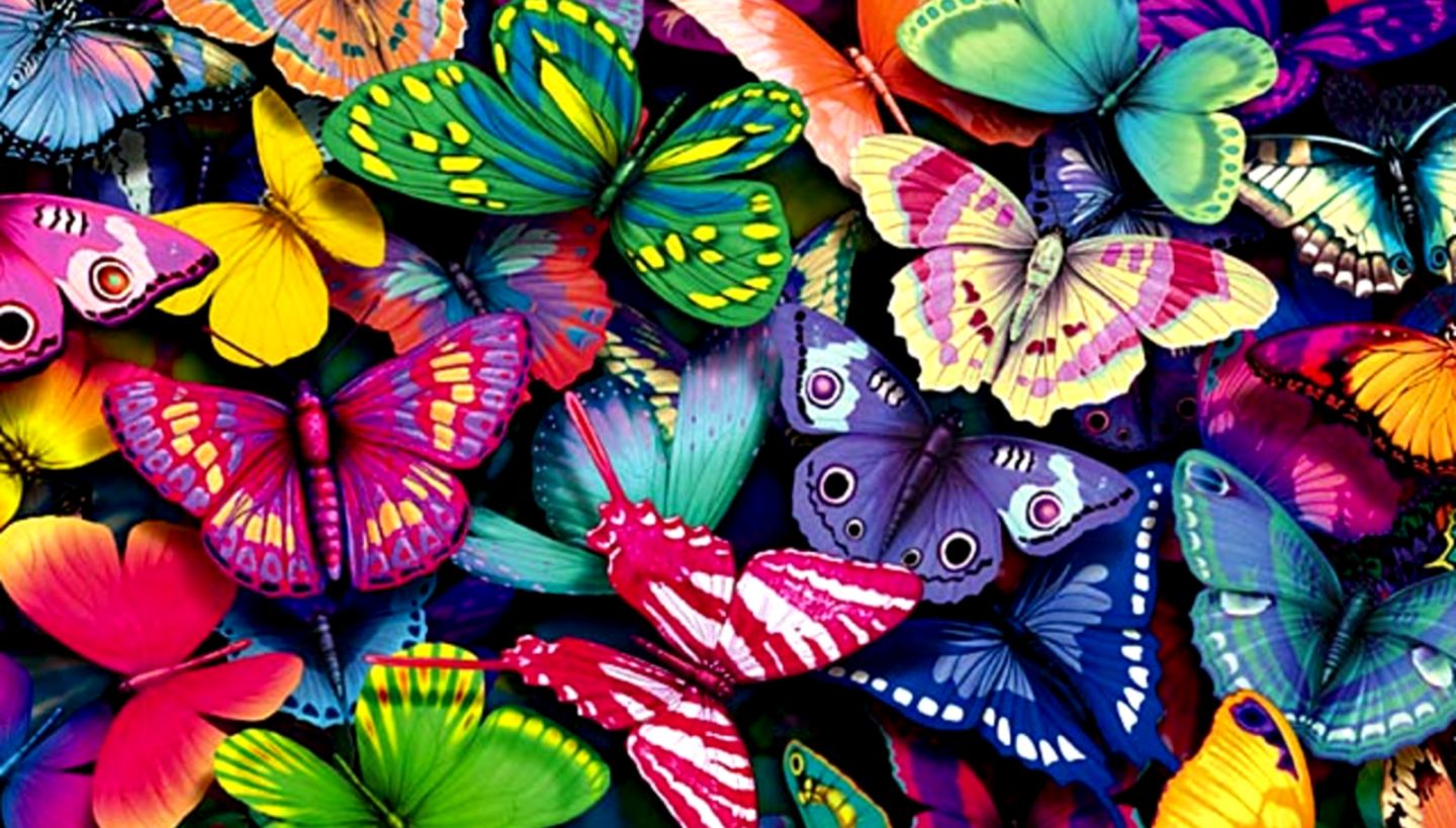 Blue Butterfly HD Wallpaper For Desktop 1080p