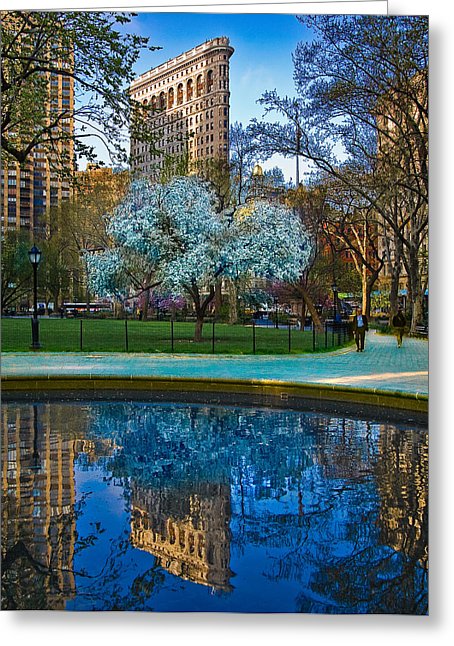 Central Park Spring In Madison Square Chris Lord Wallpaper With