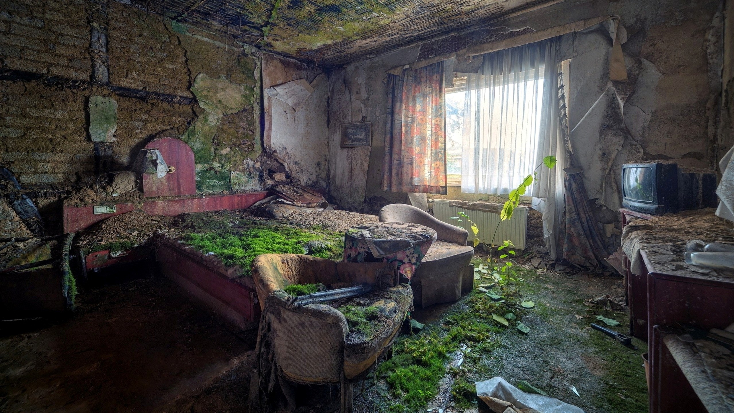 Wallpaper Green Room Interior Abandoned House