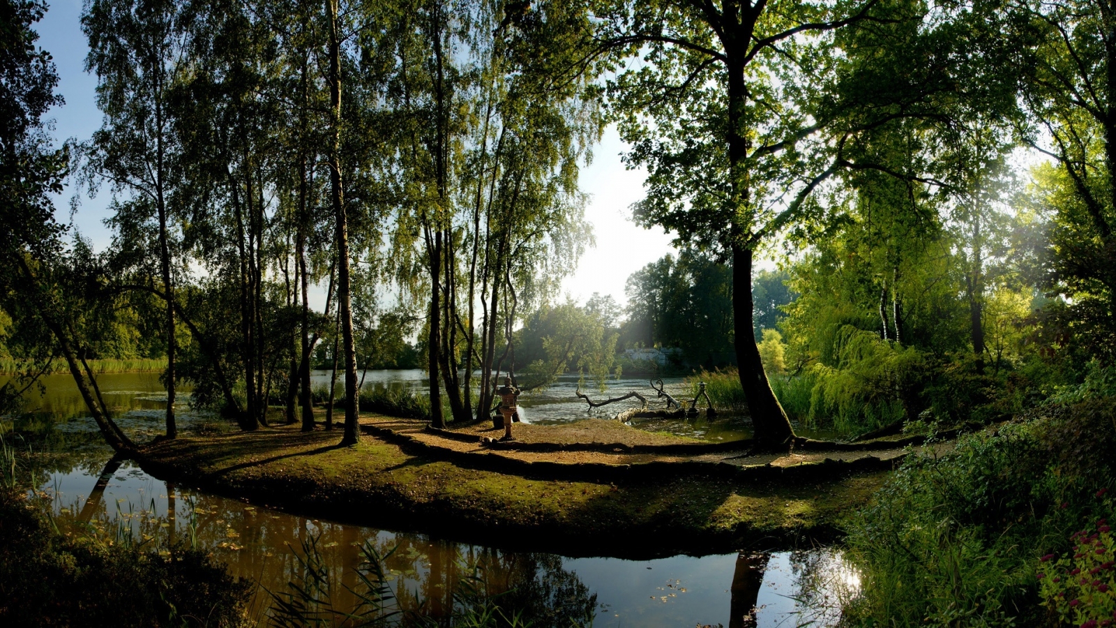 Forest Desktop For X HDtv Resolution
