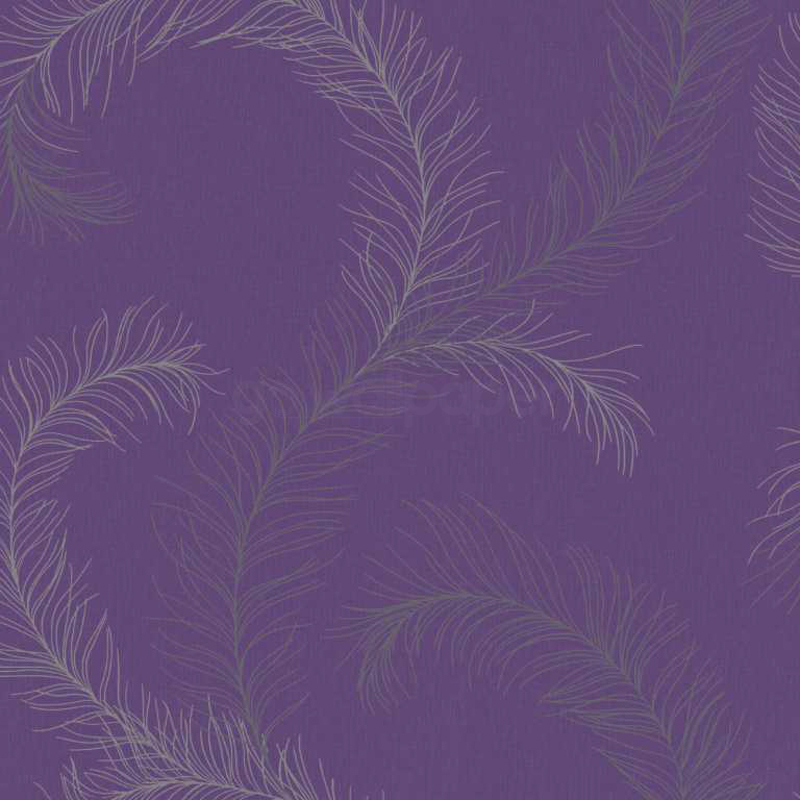 Luscious Purple And Silver Feathers Wallpaper At Go
