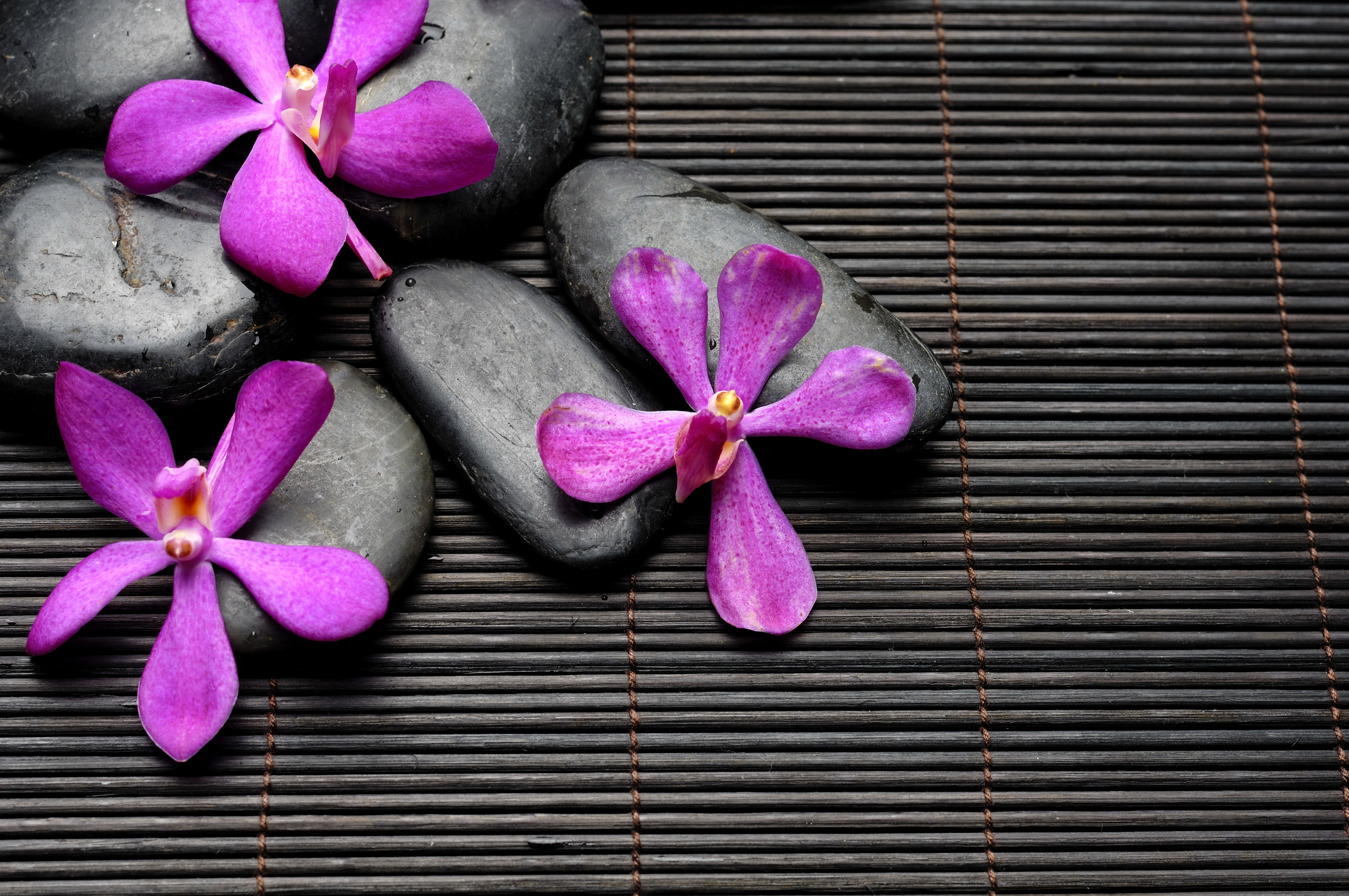Spa Zen Stones Flowers Bamboo Black Purple