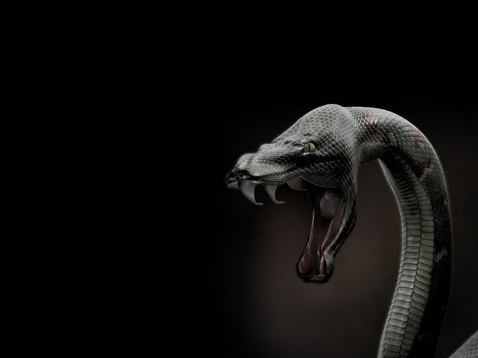 Black Monster Snake 3d Wallpaper HD High Resolution