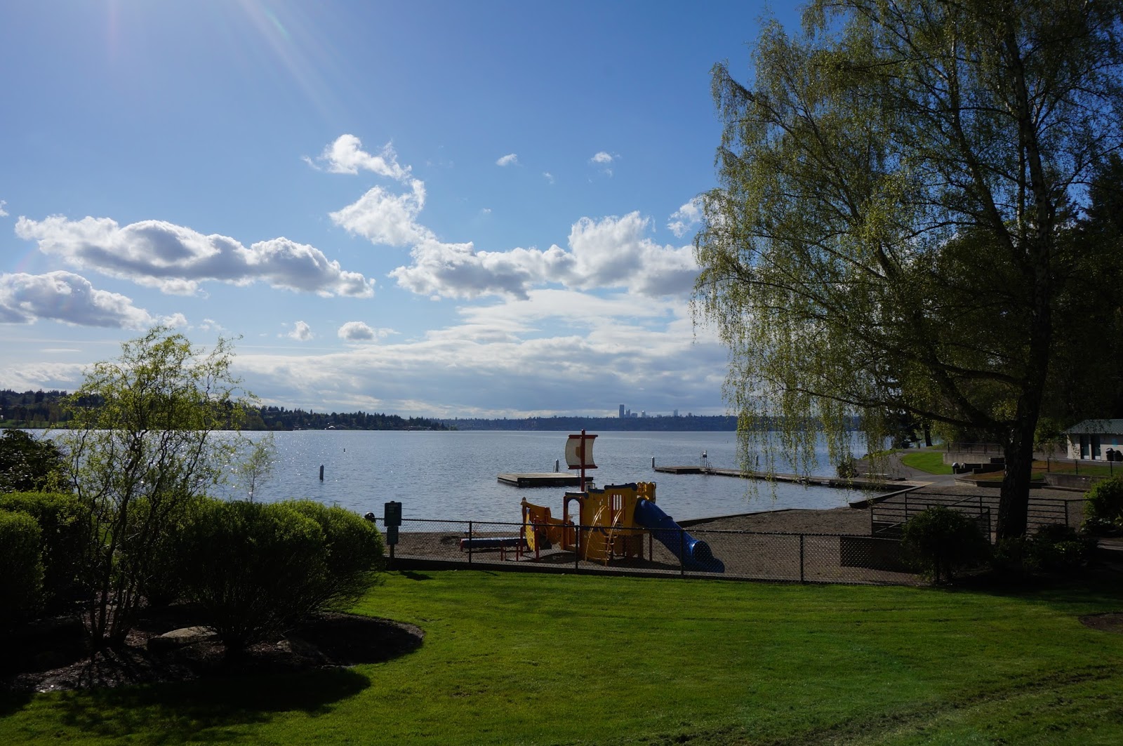 Free download the bustling shopping area of bellevue washington i was