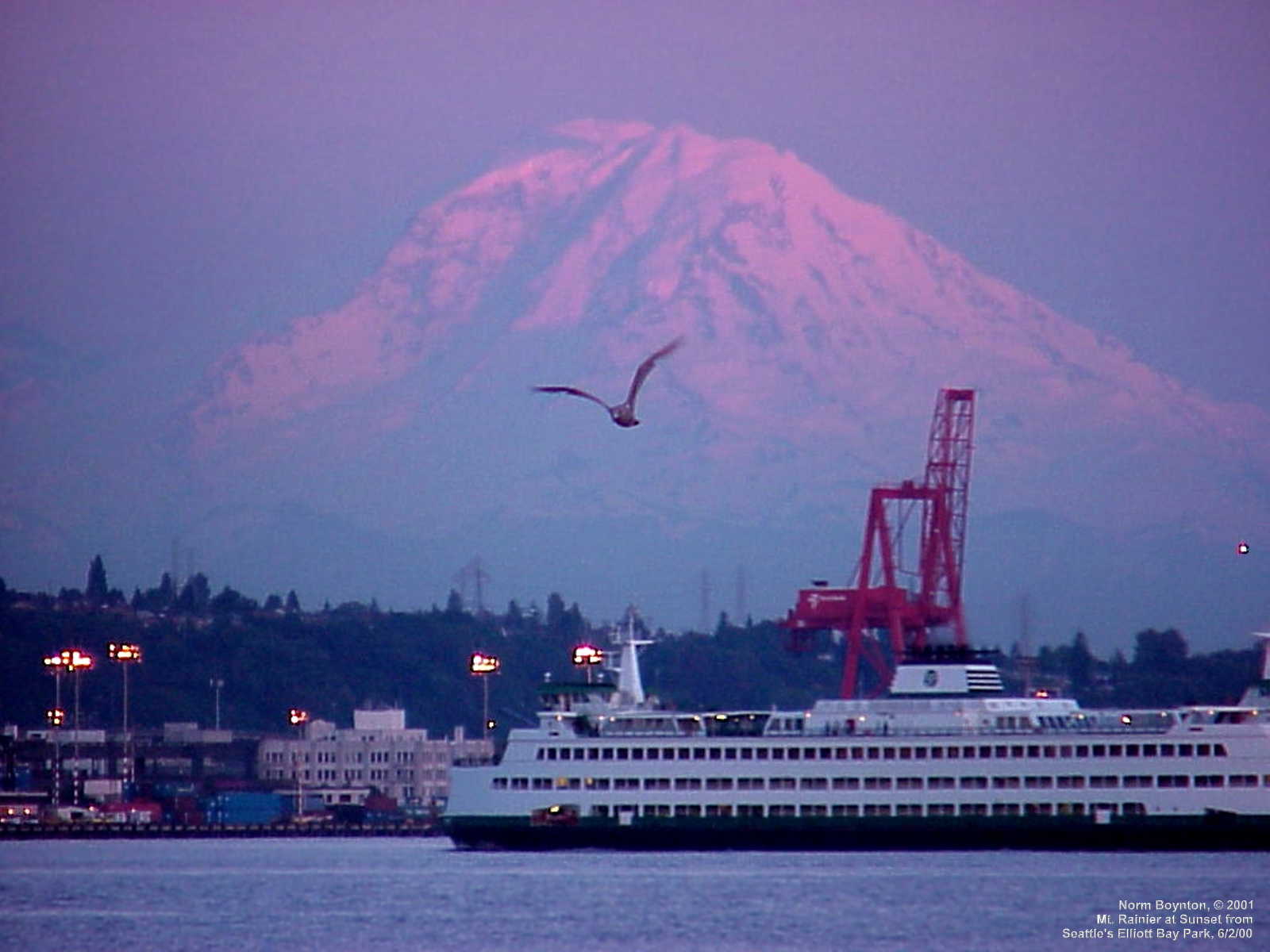 Wallpaper Photo Mt Rainier At Sunset From Seattle S Elliott Bay