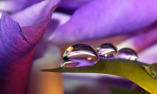 This Application Offer The Best Image Of Water Drop HD Wallpaper