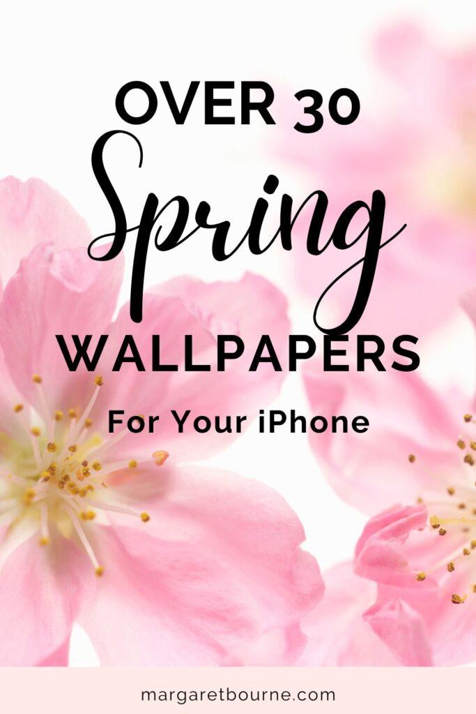 50 Spring Backgrounds free download - PixelsTalk.Net