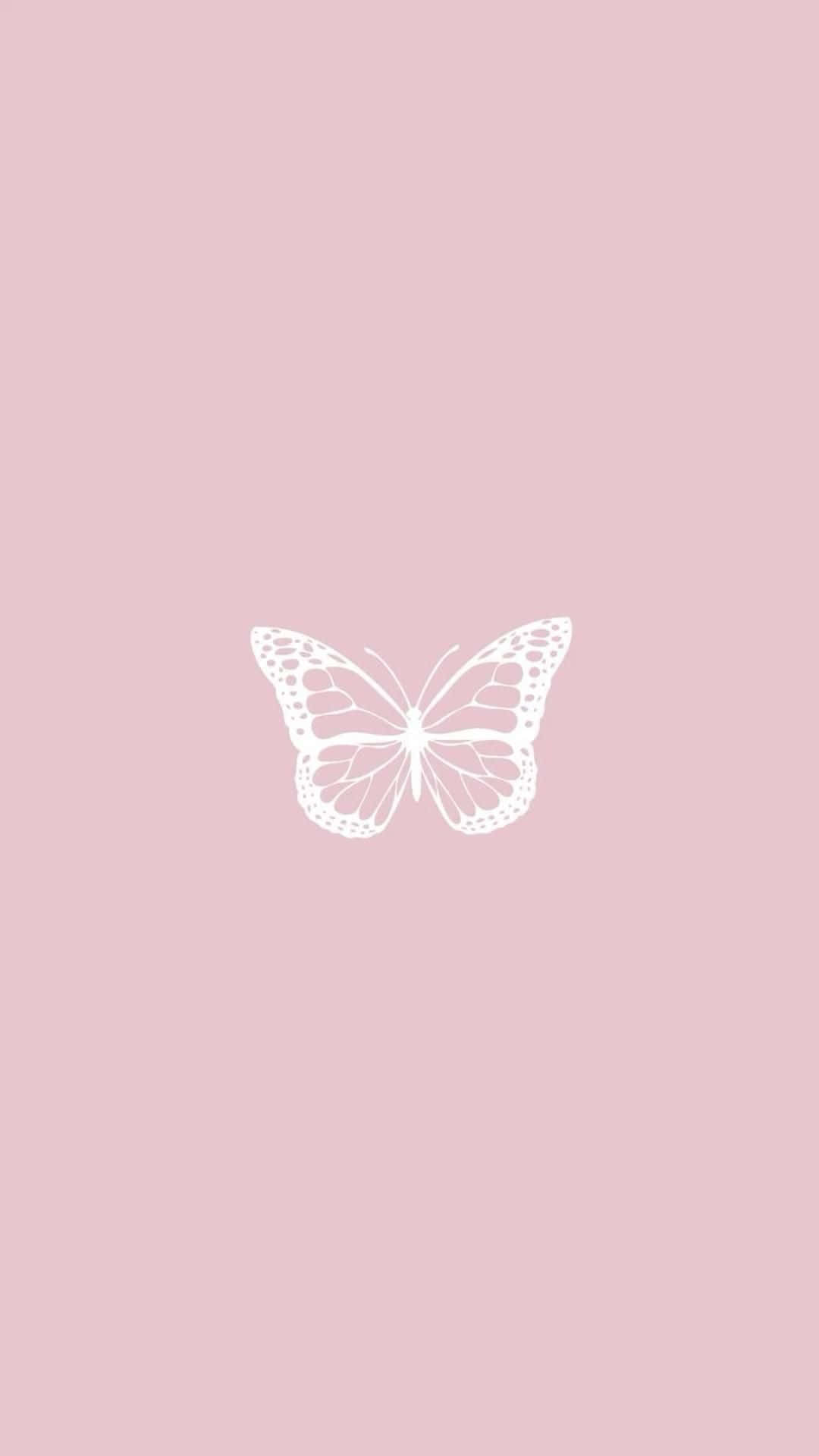 Aesthetic Baby Pink Wallpaper