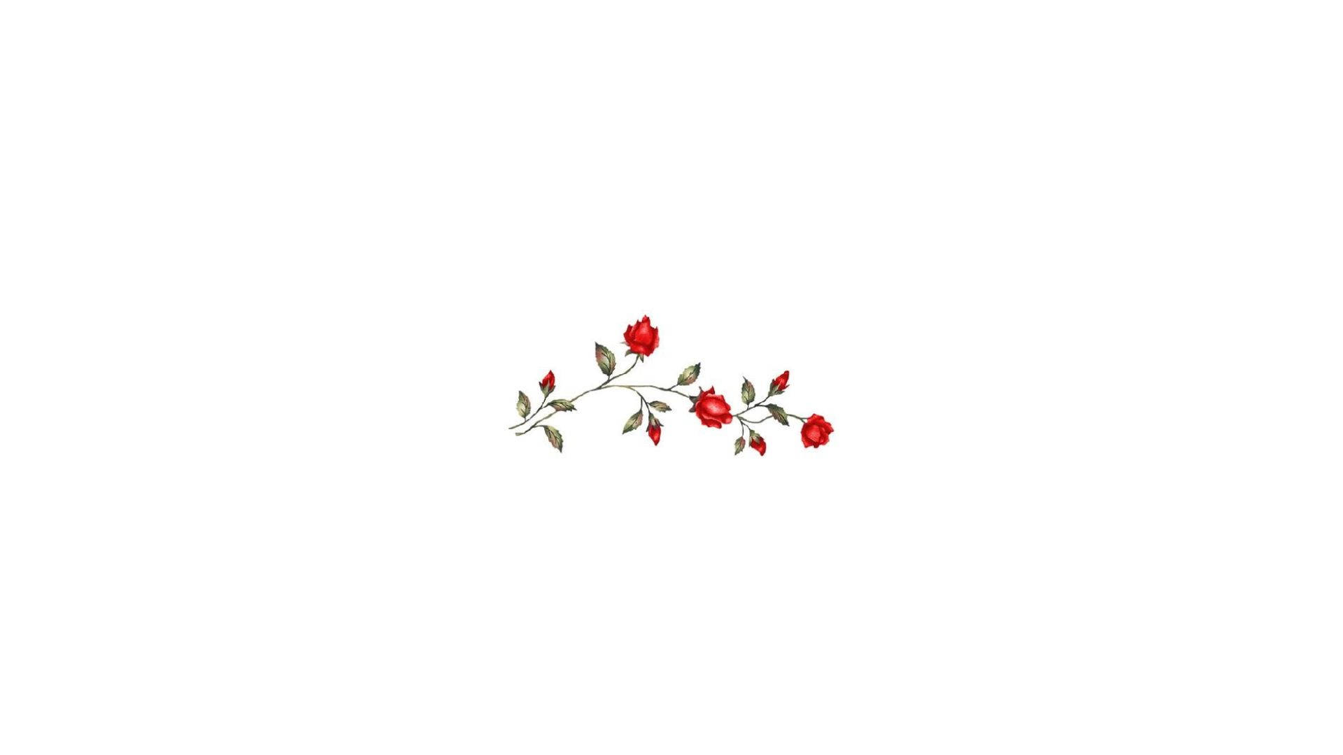 Aesthetic White Wallpaper