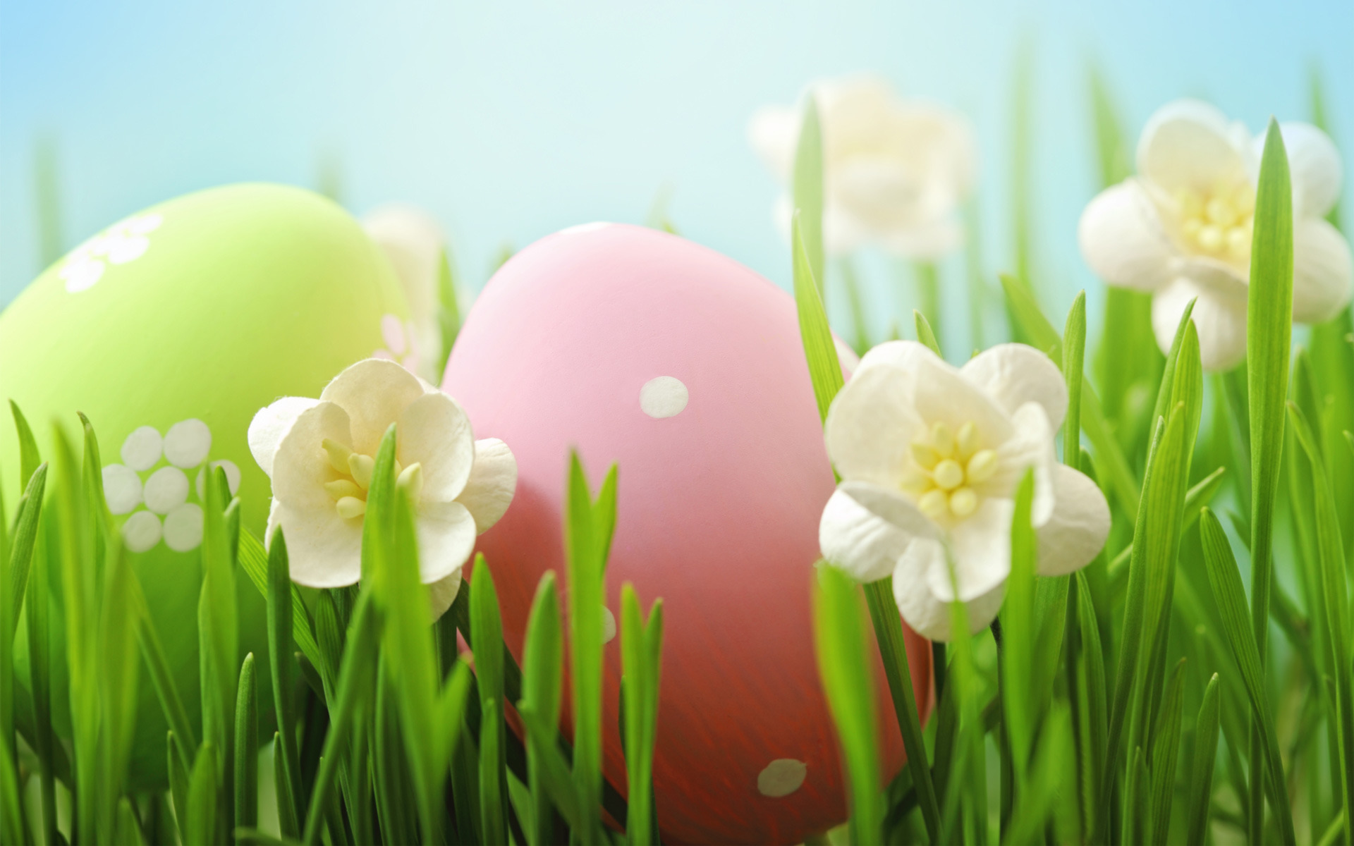Easter Eggs In The Grass Wallpaper
