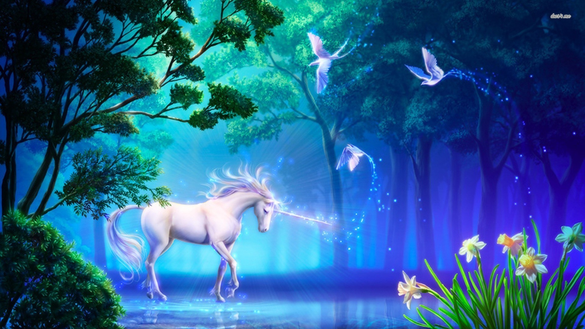 Unicorn Desktop Background Wallpaper