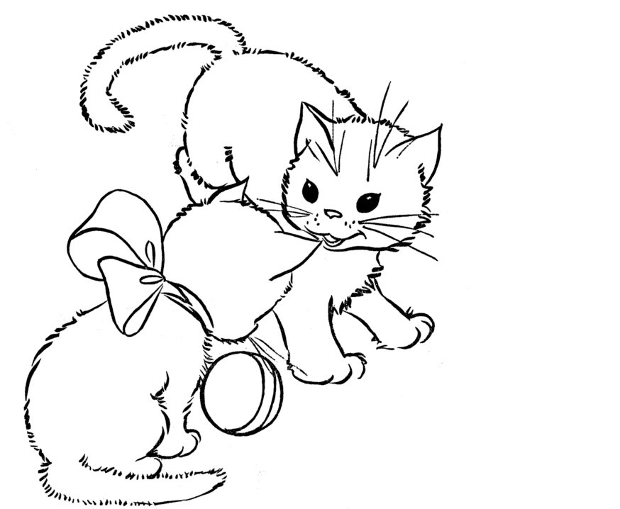 Free download drawing wallpaper Cute Beautiful Cat Kitten Coloring