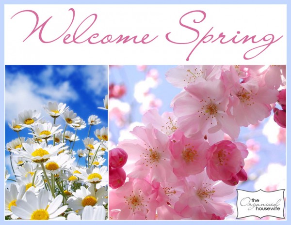 Wele Spring Wallpaper Pick Up Picture