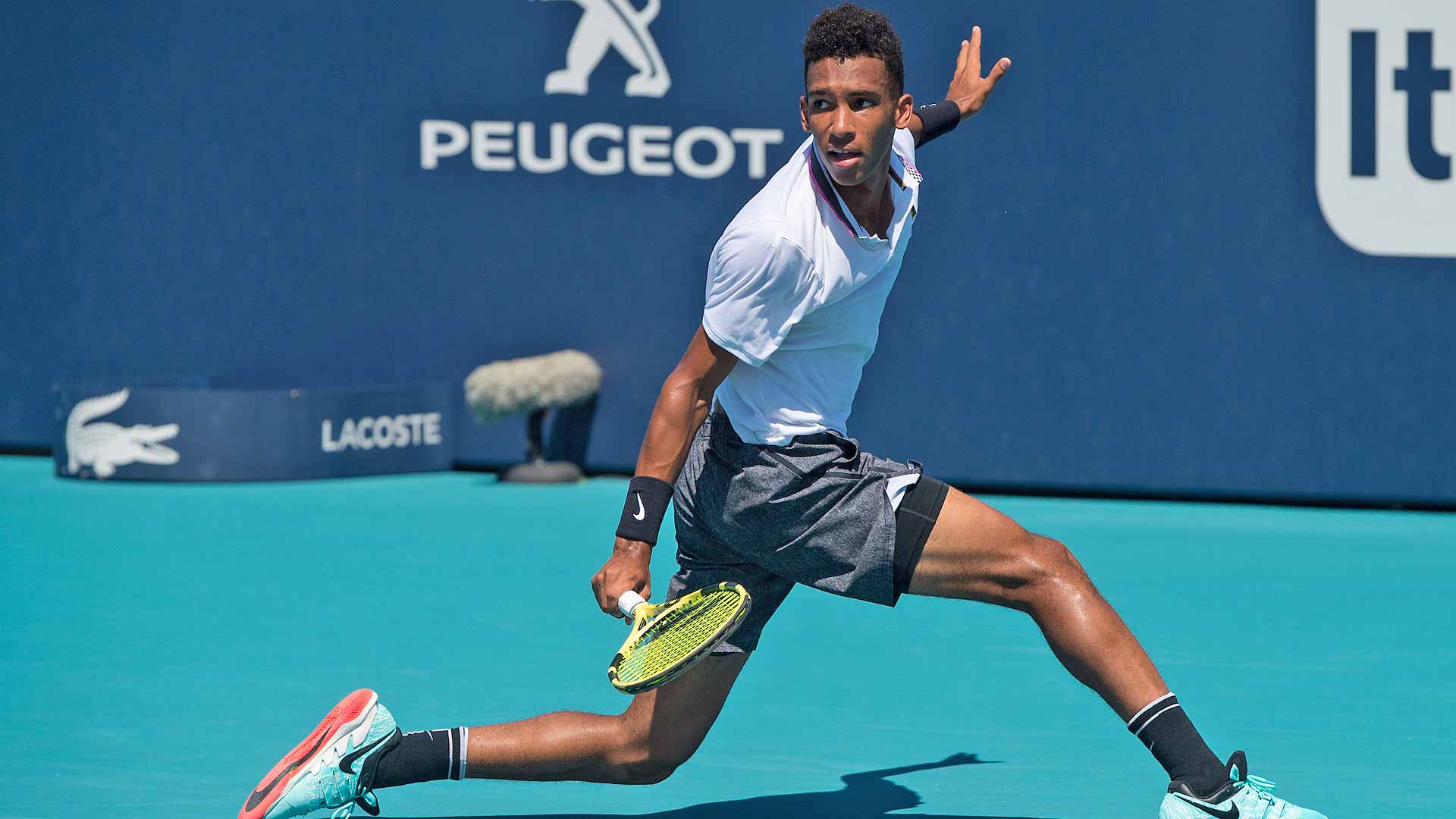 Felix Auger Aliassime Wallpaper