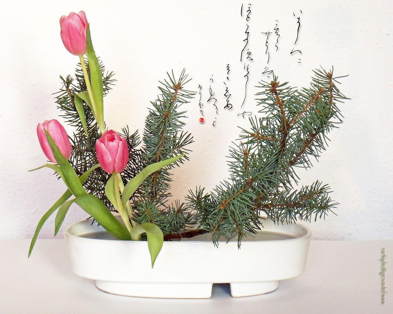 Ikebana Wallpaper