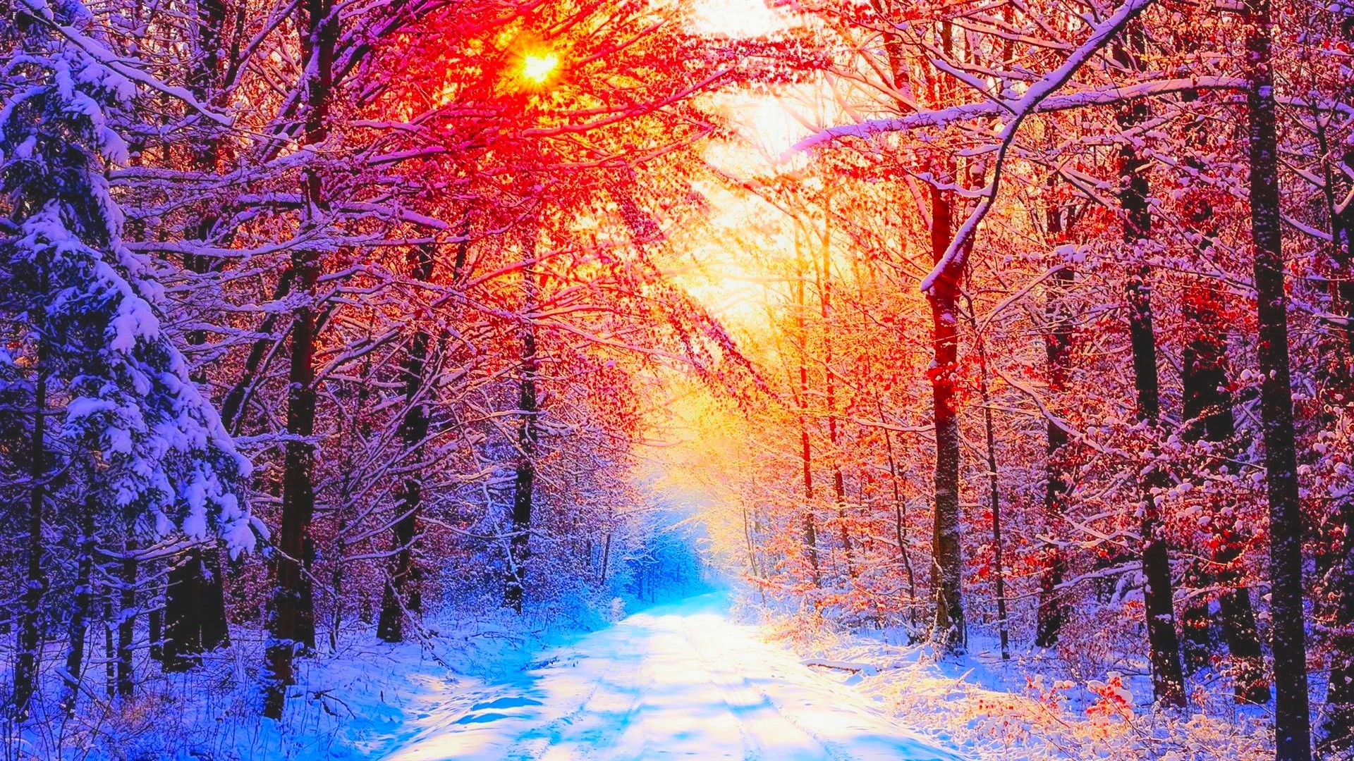 A picturesque winter wonderland scene with snow-covered trees and a path leading into a vibrant sunset
