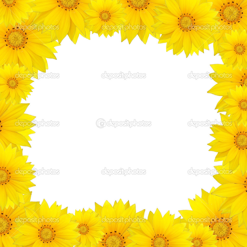 Flowers Frame With Yellow Sunflower Isolated On White Background