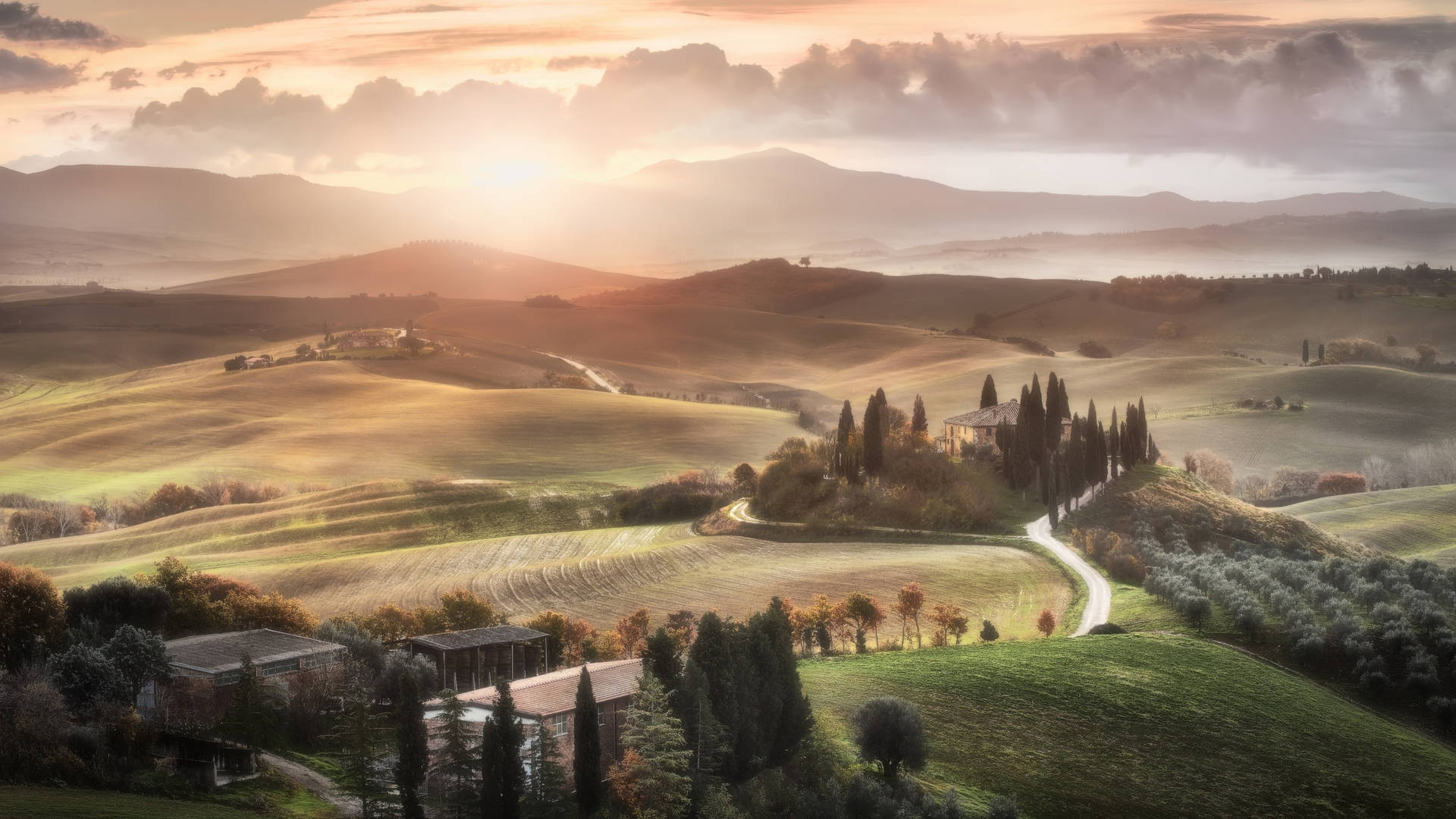 Nature Wallpaper