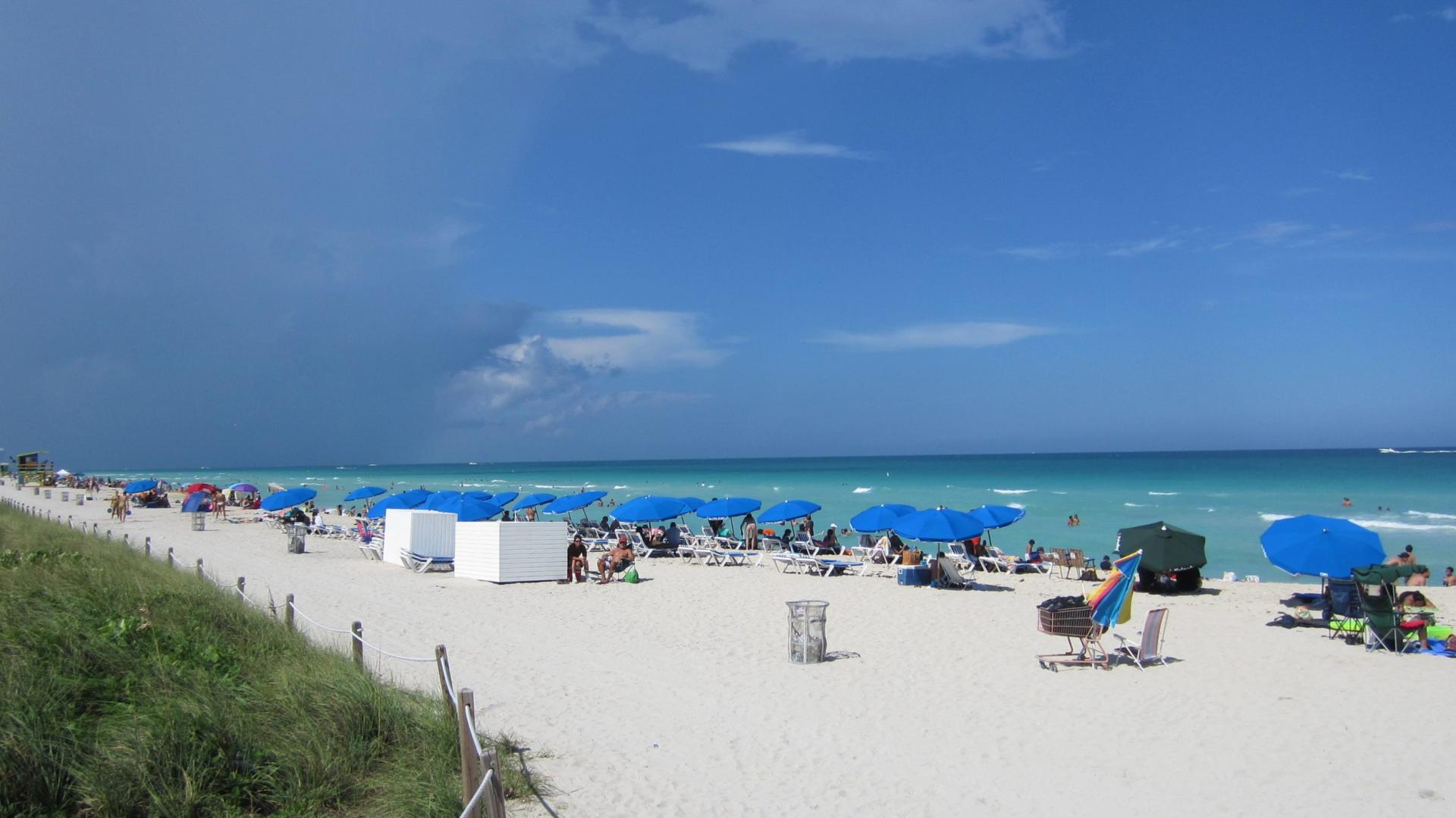 Miami Florida HD Wallpaper Of Beach South