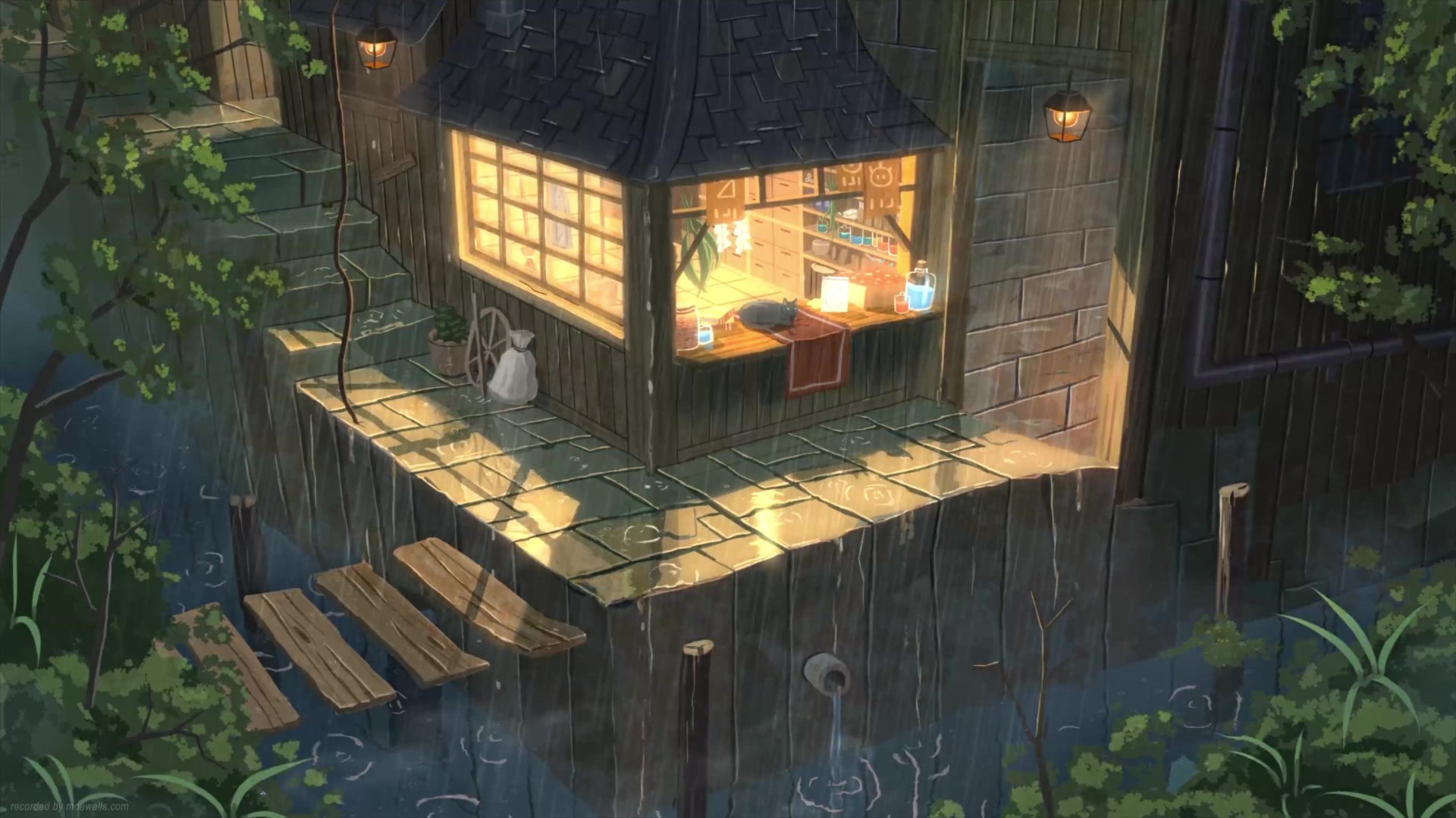 Lofi Live Wallpaper Animated