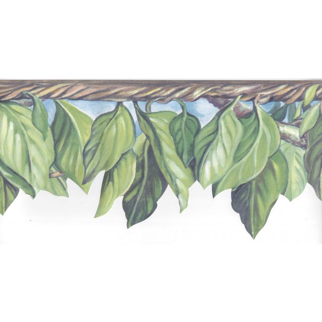Laser Cut Jungle Leaves Wallpaper Border   All 4 Walls Wallpaper