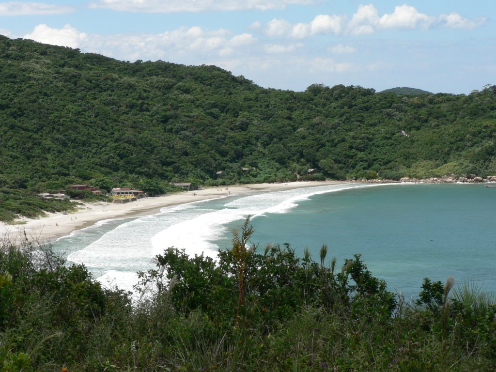 Praia De Naufragados Wikipedia