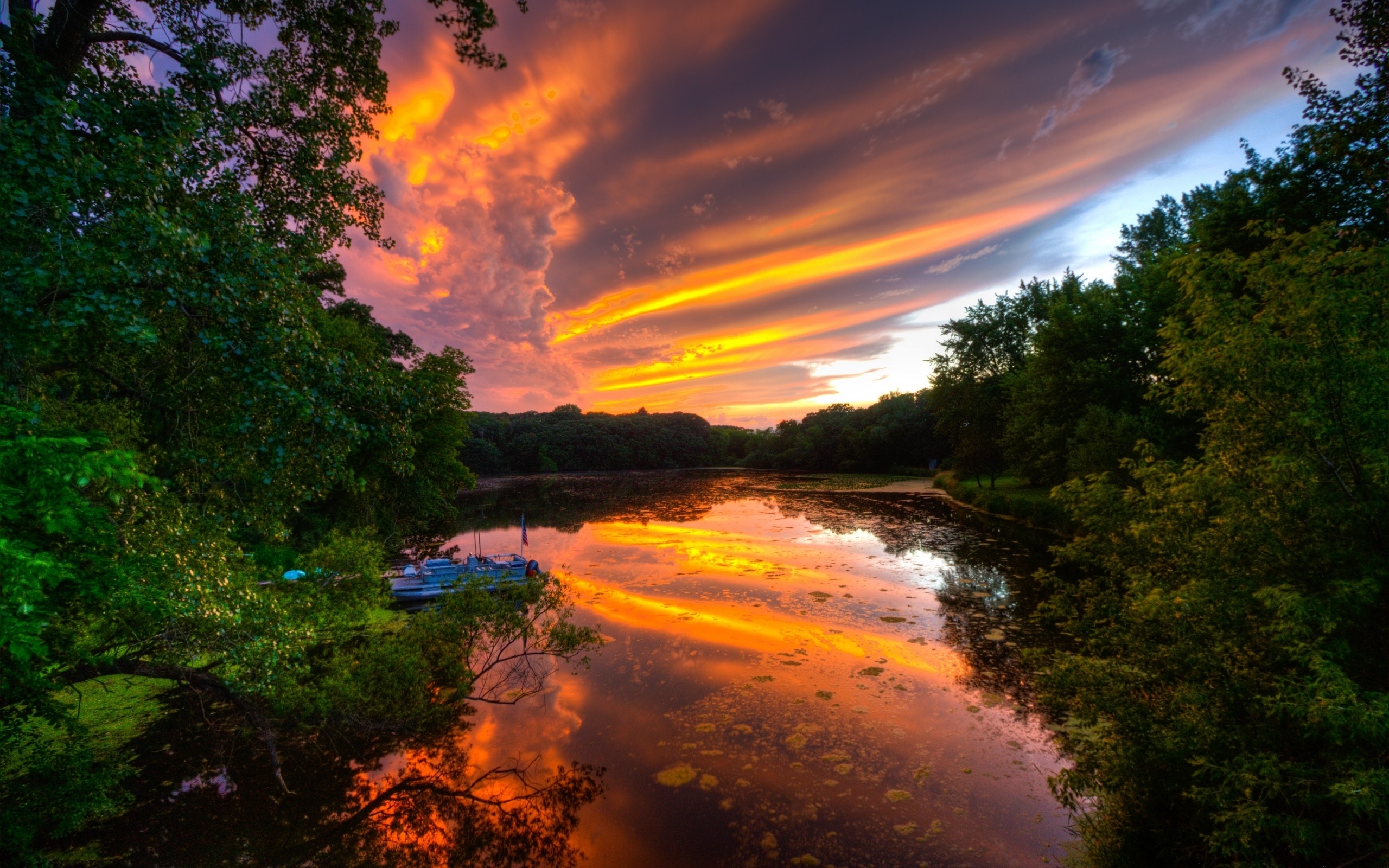 Pretty Sunset Trees Sea Wallpaper Stock