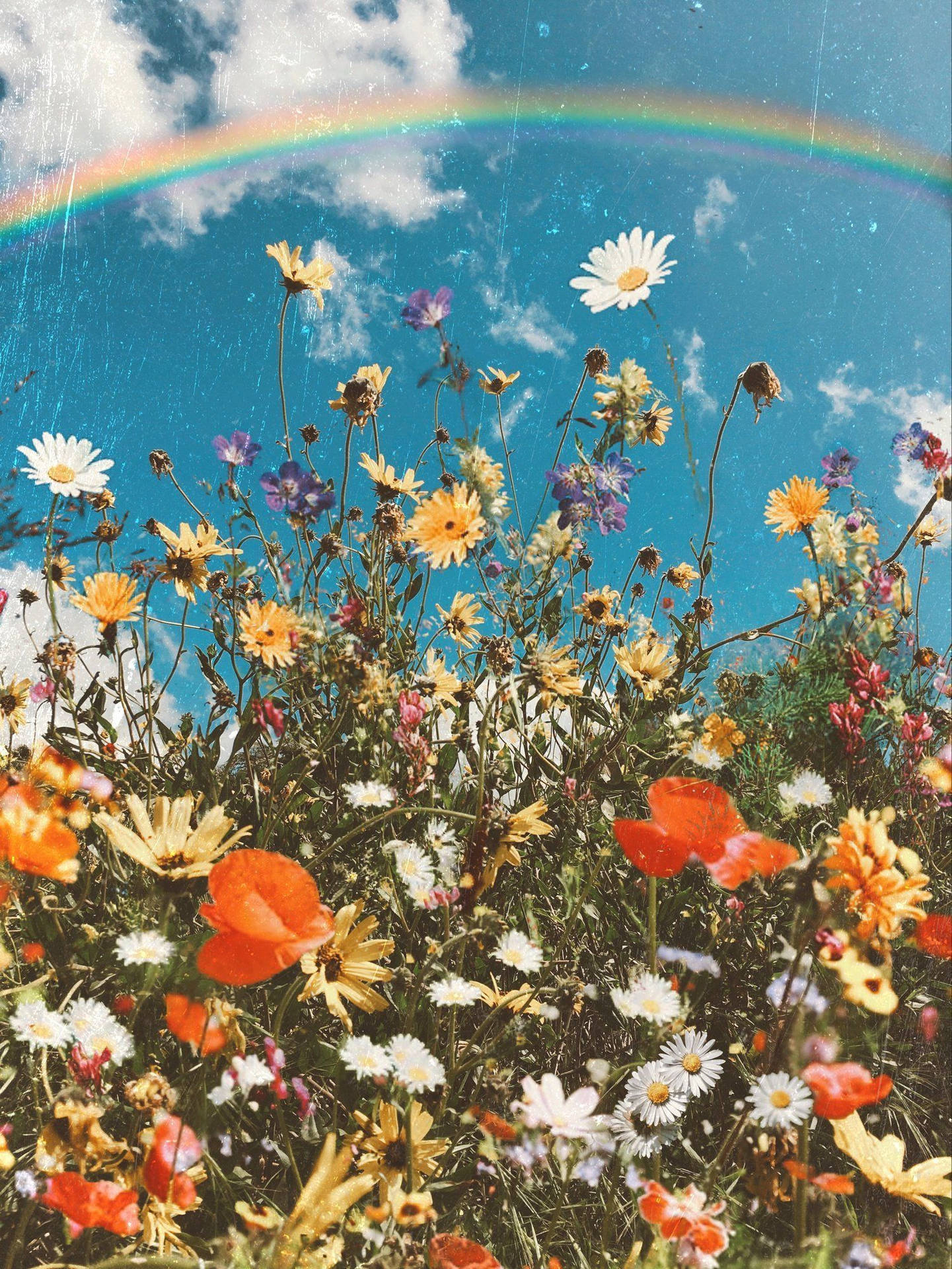 Rainbow Aesthetic Wallpaper