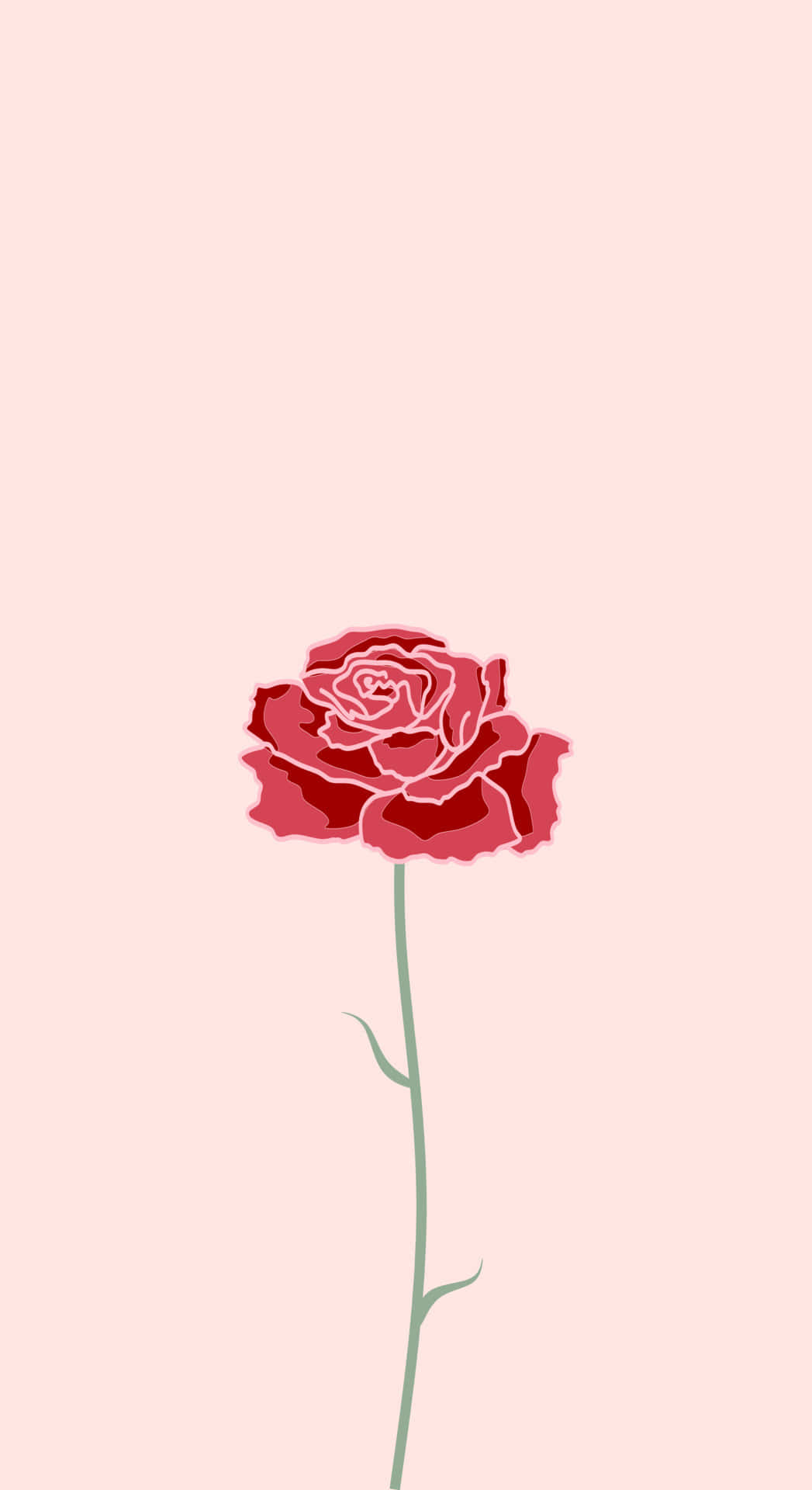 Cute Rose Wallpaper