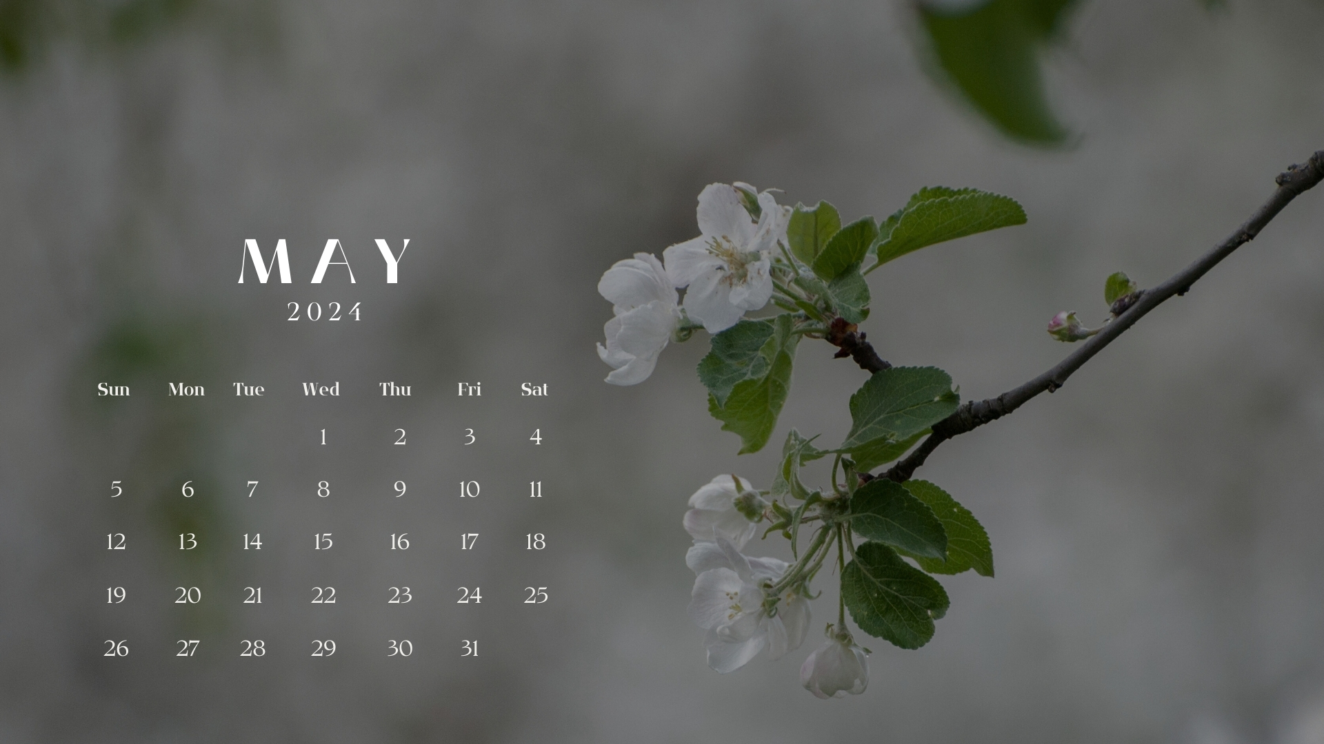 🔥 Free Download May Calendar Desktop Wallpaper by kimberlydelacruz