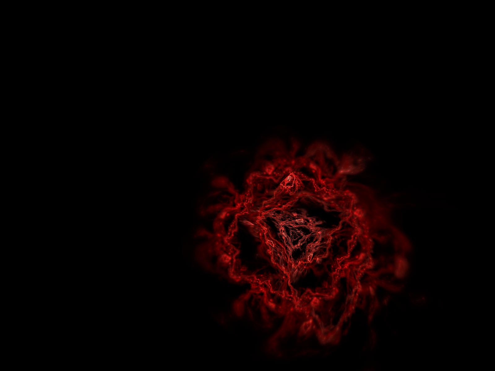 Red Rose With Black Backgrounds