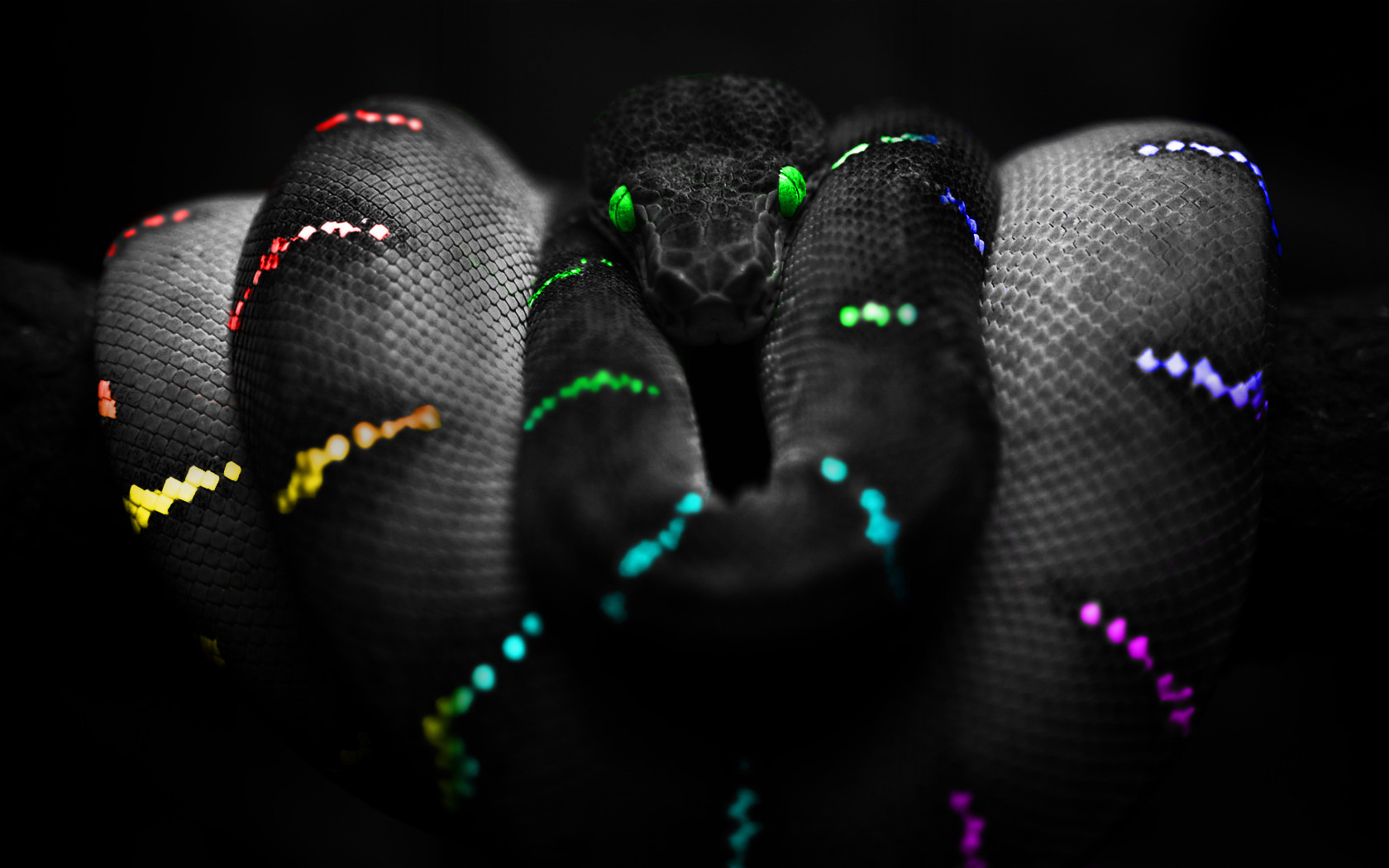 Wallpaper Snake Skin Color Dark Black Desktop Other