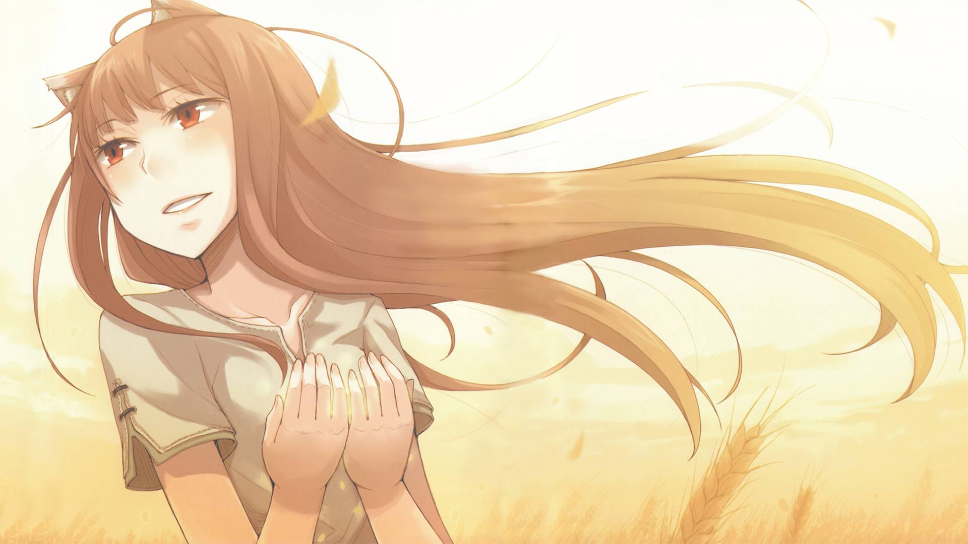 Spice And Wolf Holo Fanart Jpg