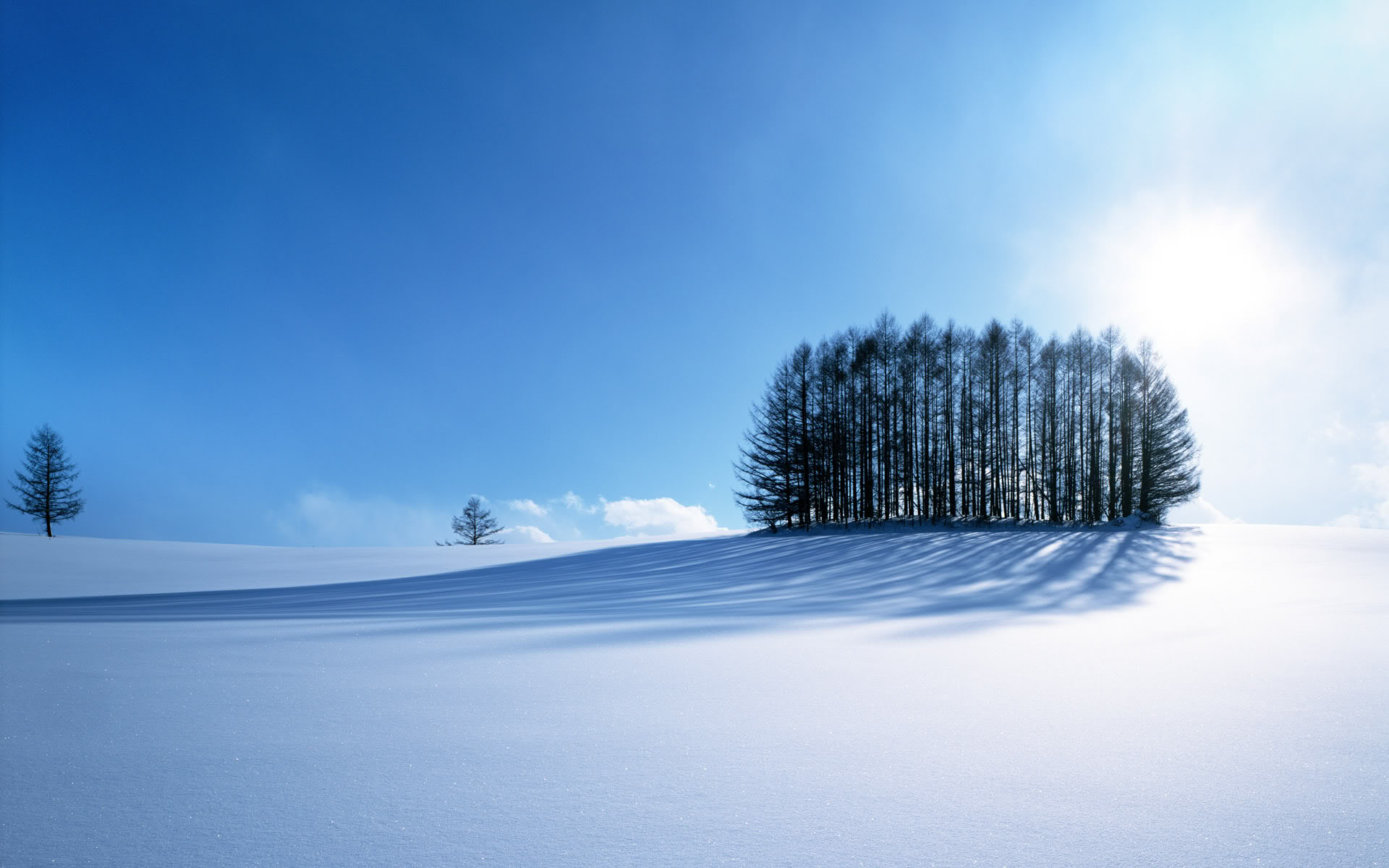 Landscapes Snow Wallpaper Trees Winter