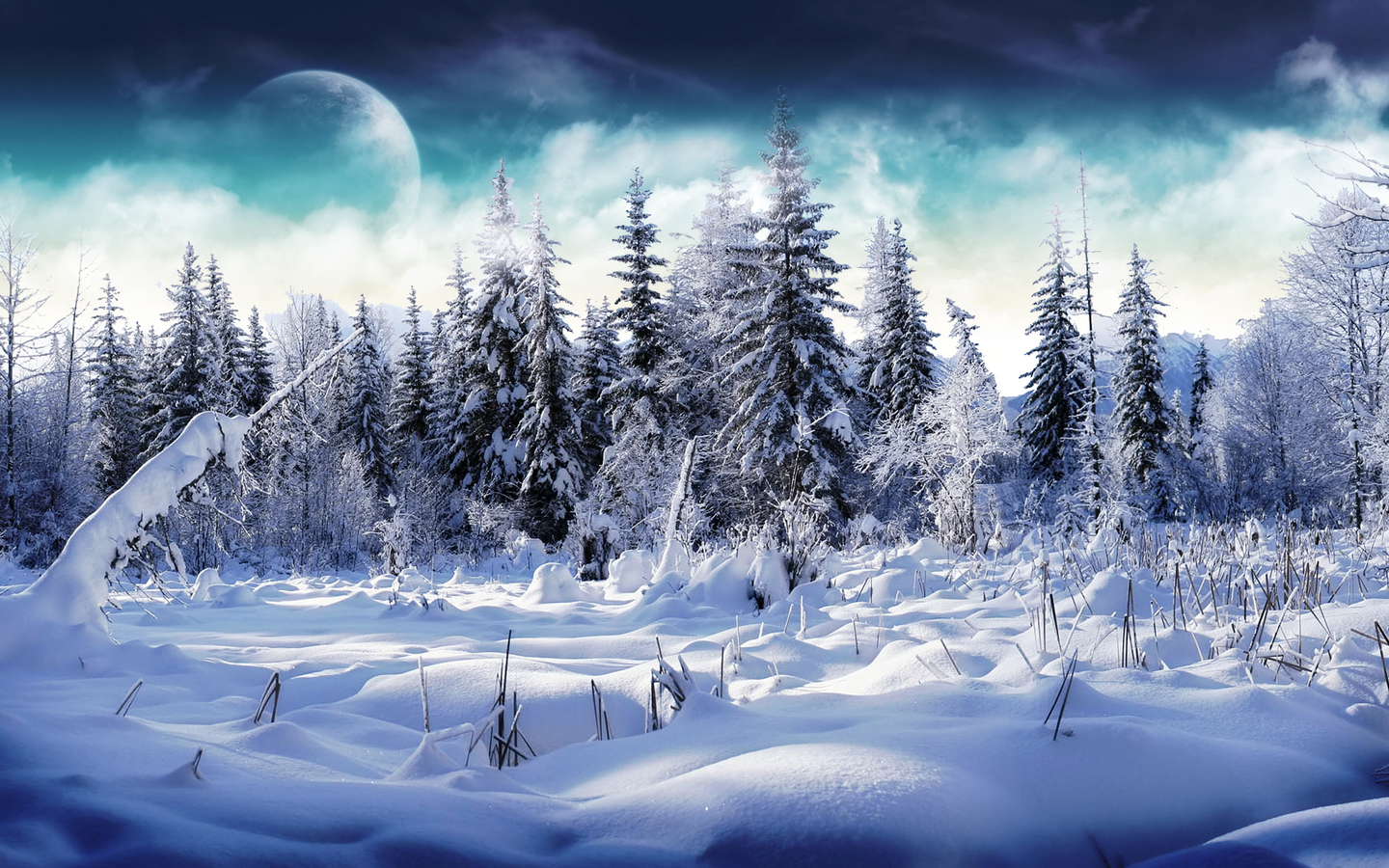 Winter Scene Wallpaper Grasscloth