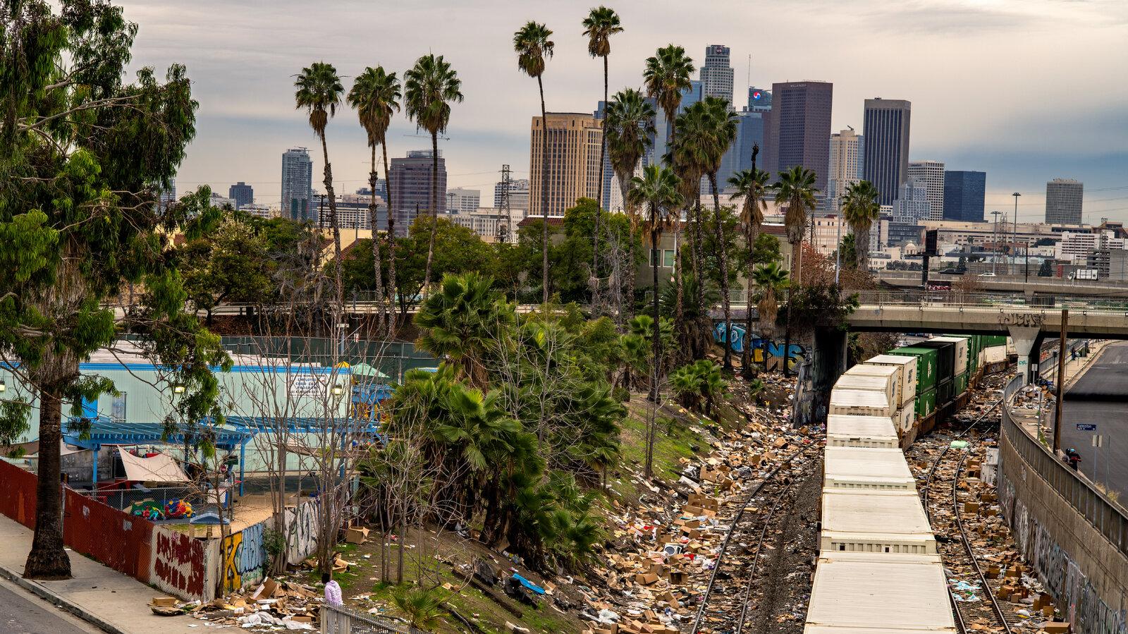 Abandoned On Los Angeles Train Tracks Family Photos And Covid