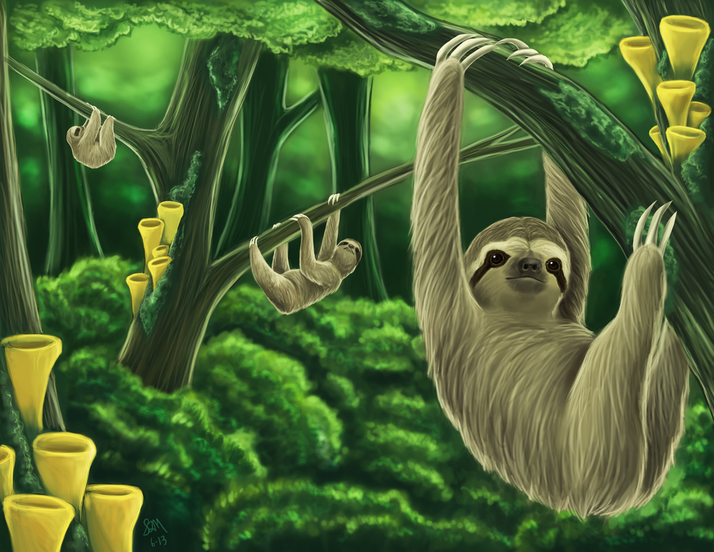Sloth Jungle By Blairaptor