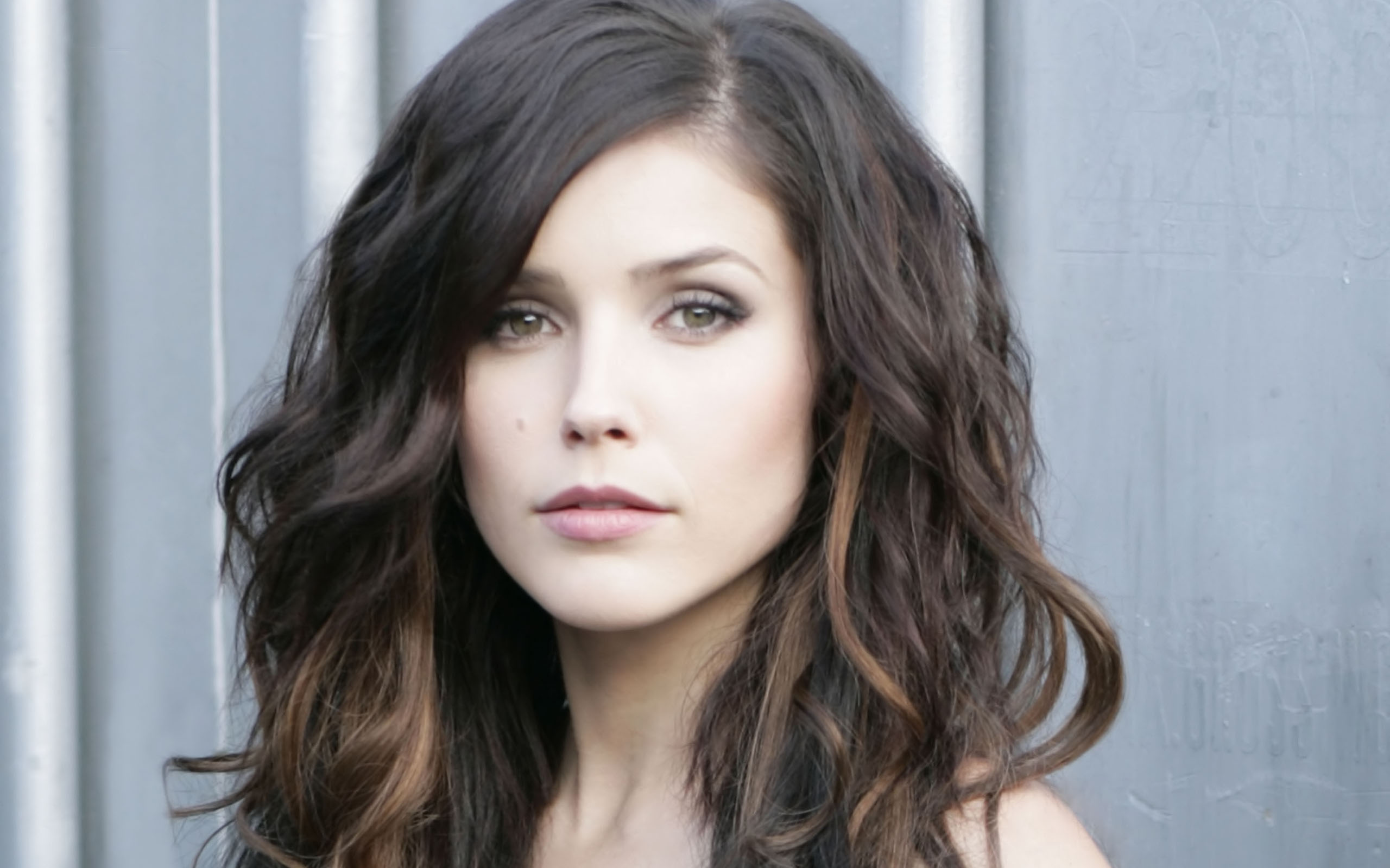 Sophia Bush HD Wallpaper