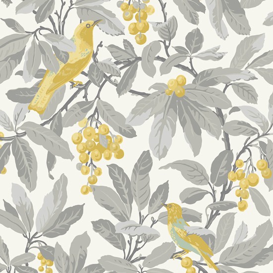 Cole Son Royal Garden Wallpaper From Direct Fresh