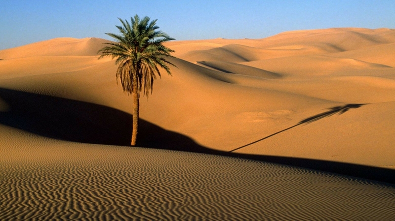 palm desert dunes sahara desert 1920x1079 wallpaper wwwwallmaynet 53
