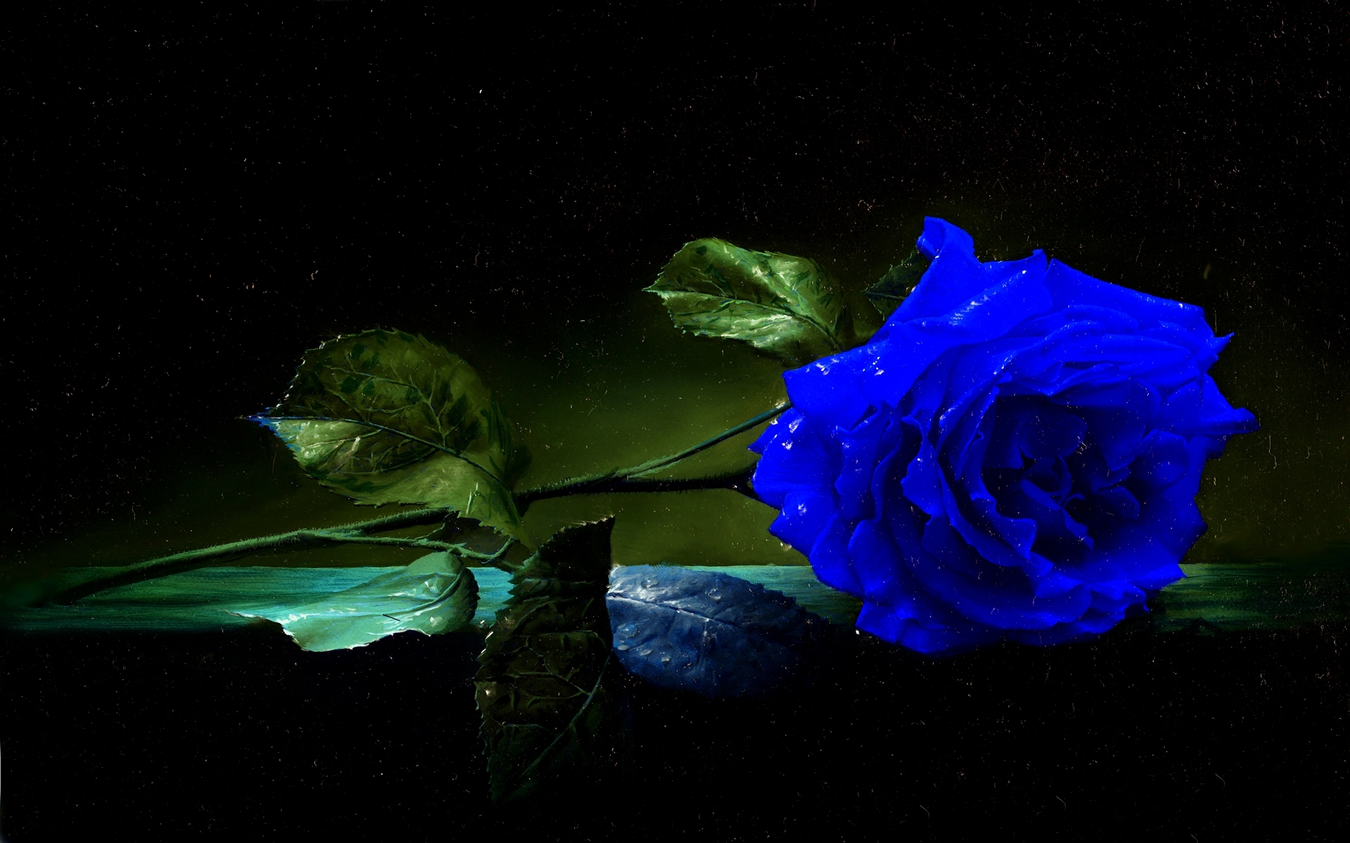Blue Rose Wallpaper HD