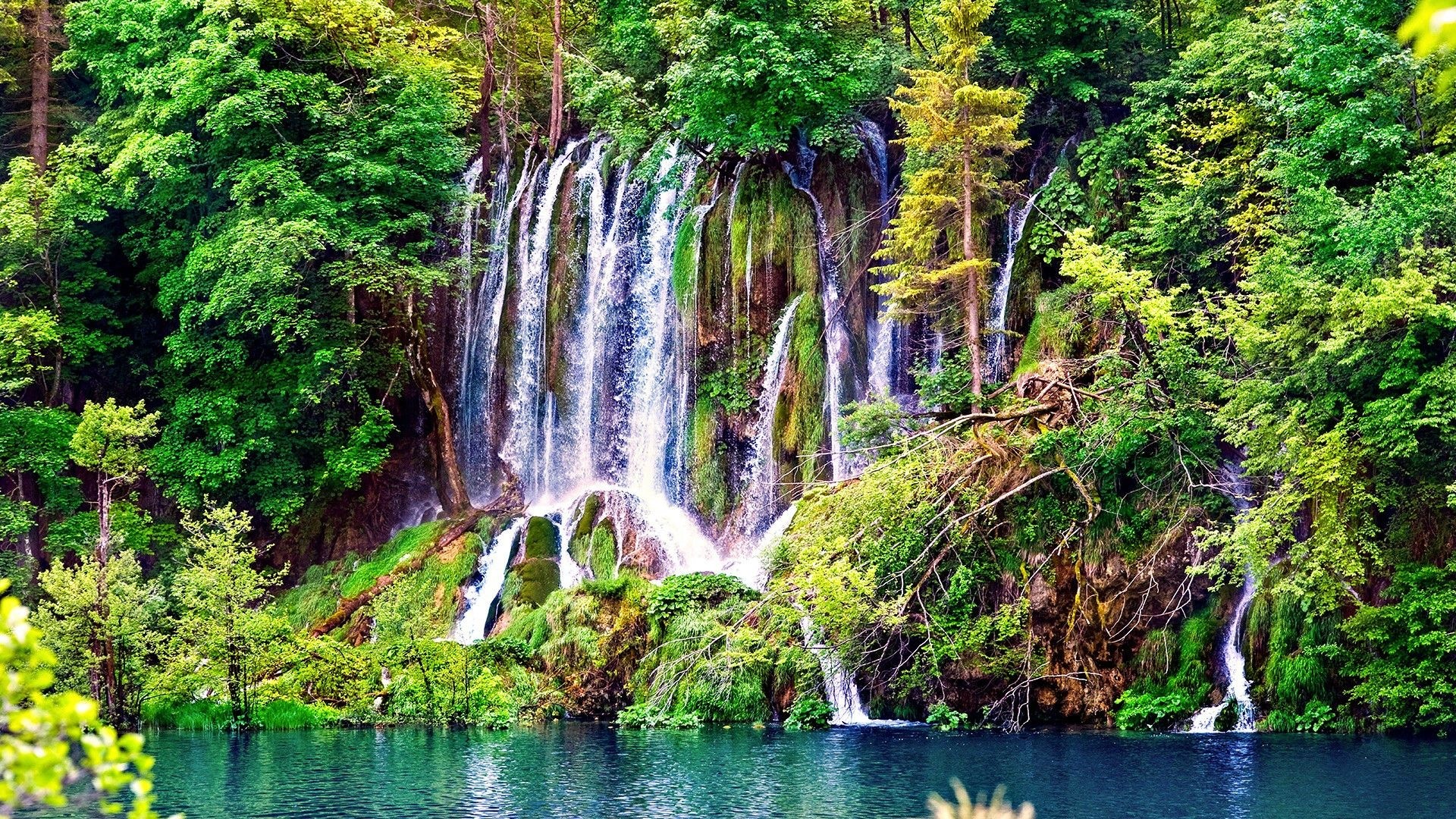 4k Ultra HD Nature Wallpaper