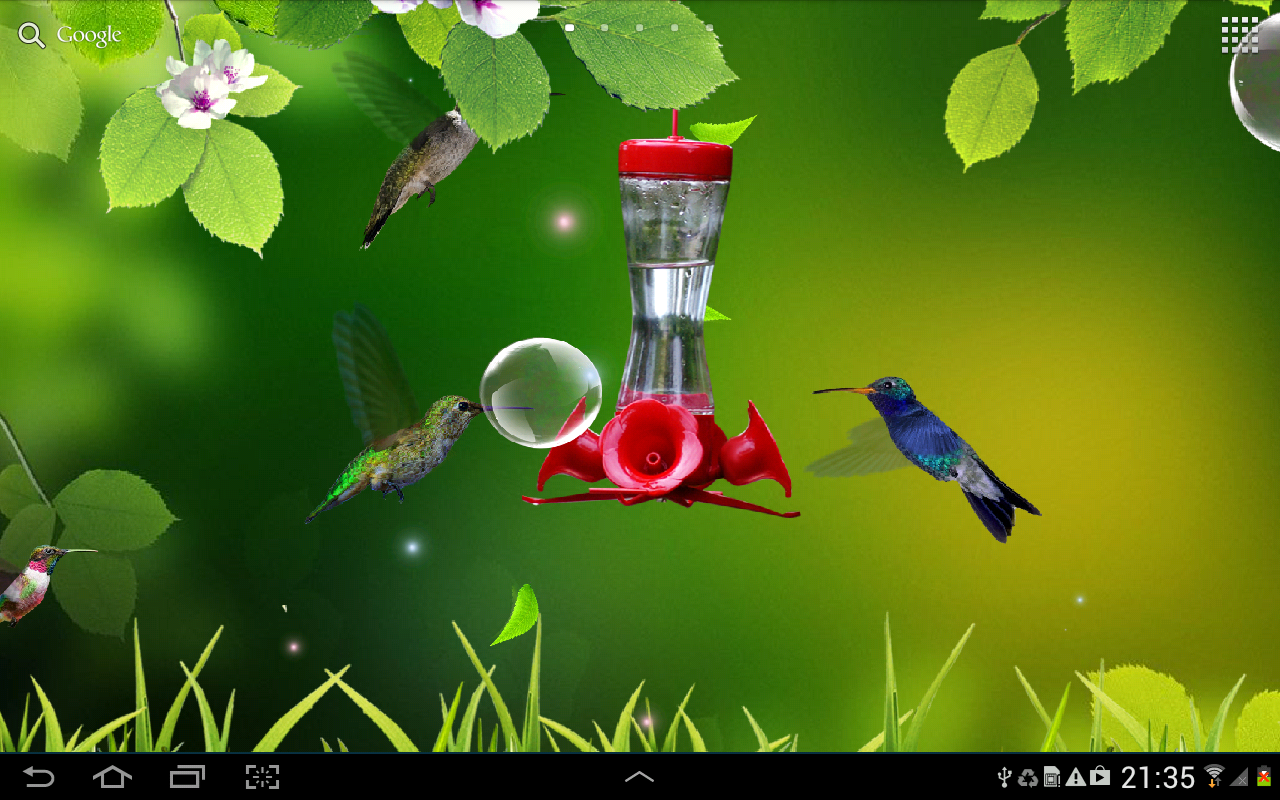Live Wallpaper Hummingbirds Colibries