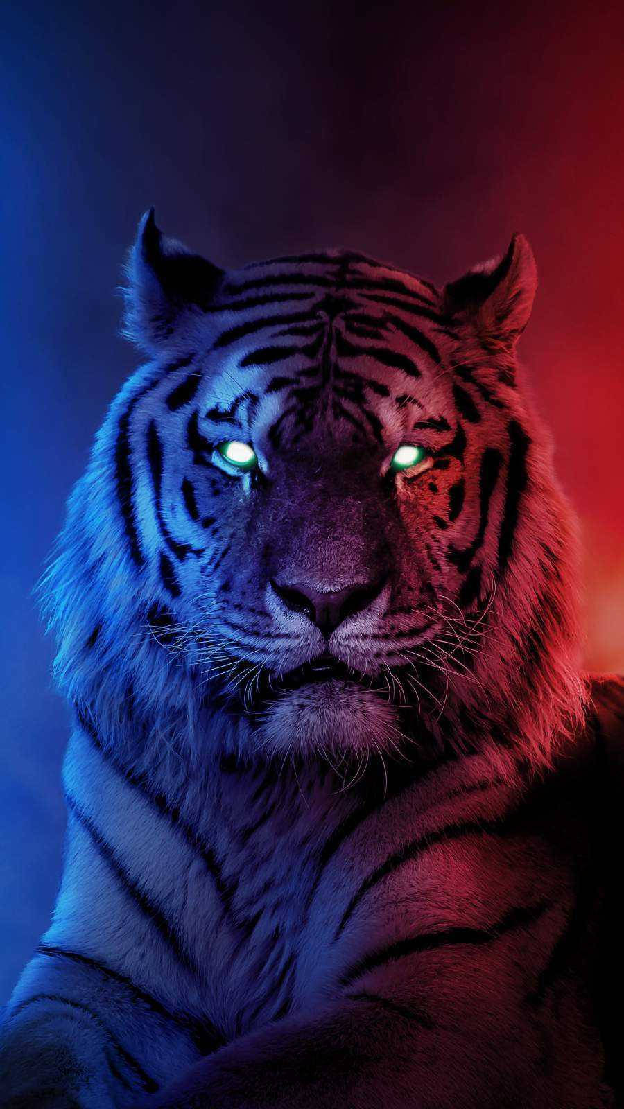 Top Tiger iPhone Wallpaper Full HD 4k To Use