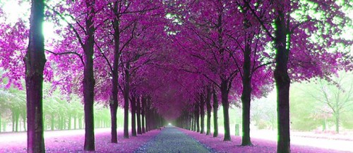 Purple Landscape Wallpaper 11 Jpg Scenery Pics