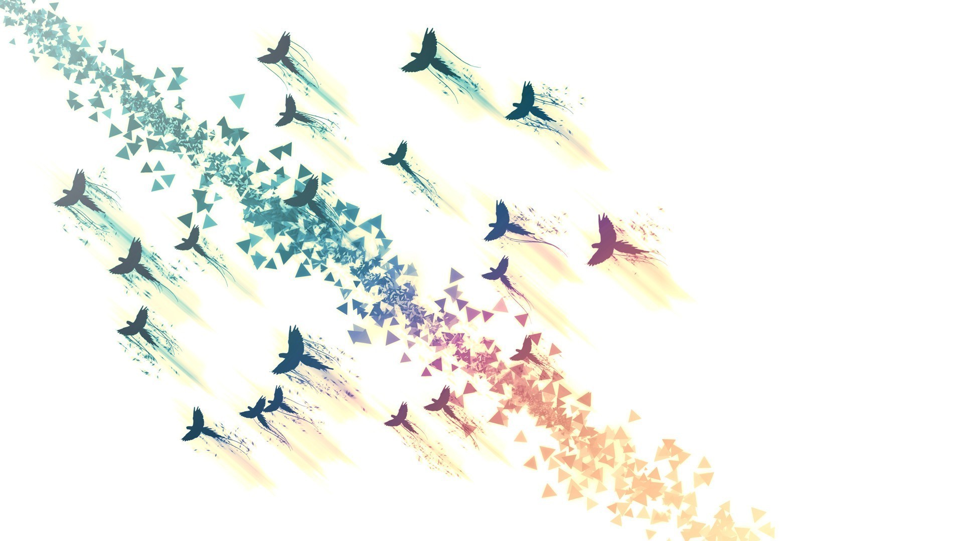 Bird and triangle silhouettes Wallpaper 2652