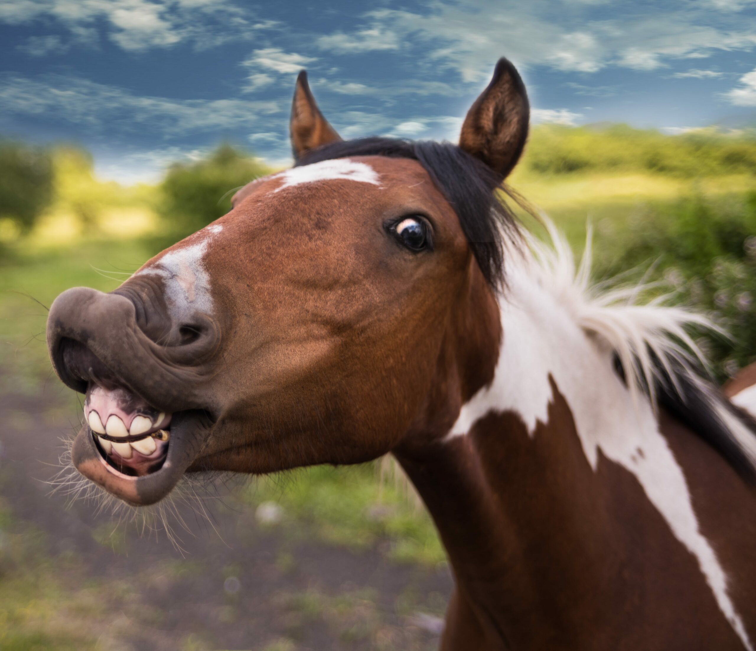 Funny Scaled Wallpaper