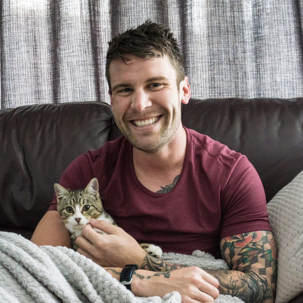 Adopting A Kitten From Spca New Zealand Jono Lester