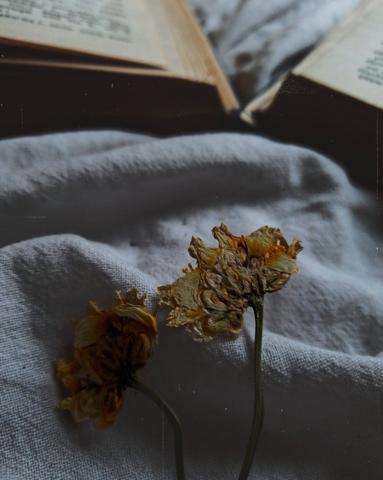 Moody Aesthetic Wallpaper