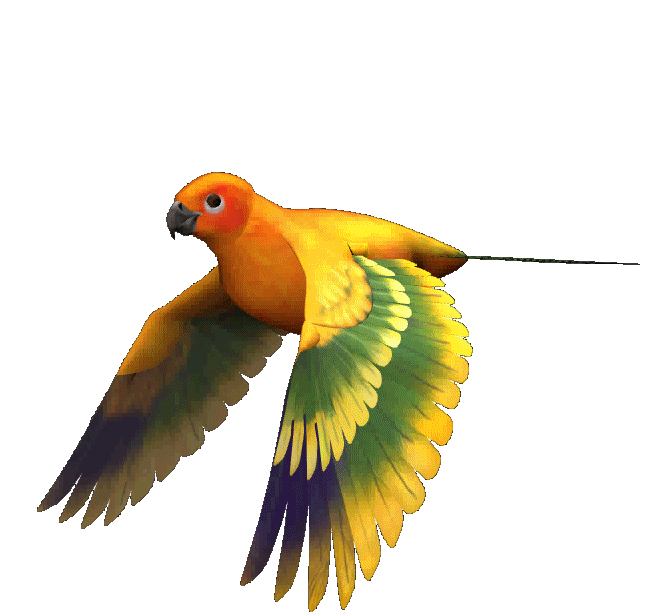 Download image Pajaro Gif PC Android iPhone and iPad Wallpapers and